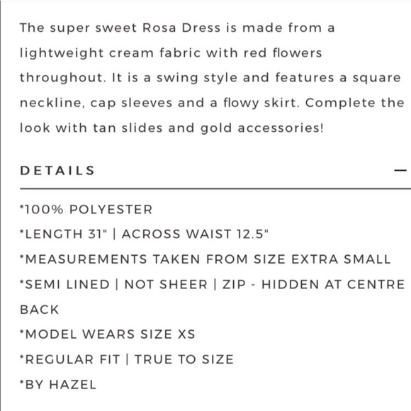 SABO SKIRT ROSA DRESS NWOT - Picture 4 of 4